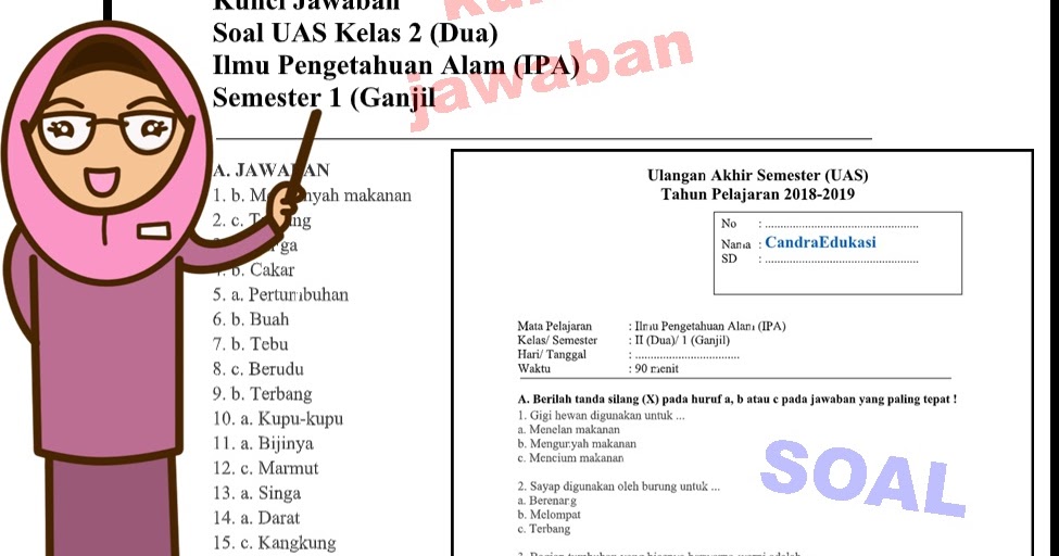 Soal Uas Ipa Kelas 2 Sd Semester 1 Dan Kunci Jawaban