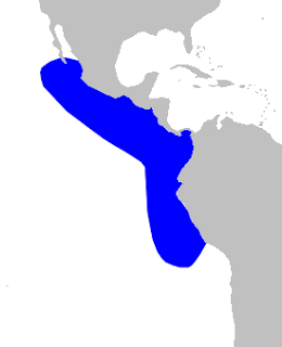 Peru gagalı balinasının dağılım haritası