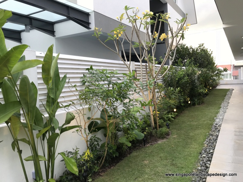 Landed house garden A typical day of excellence Singapore Landscape