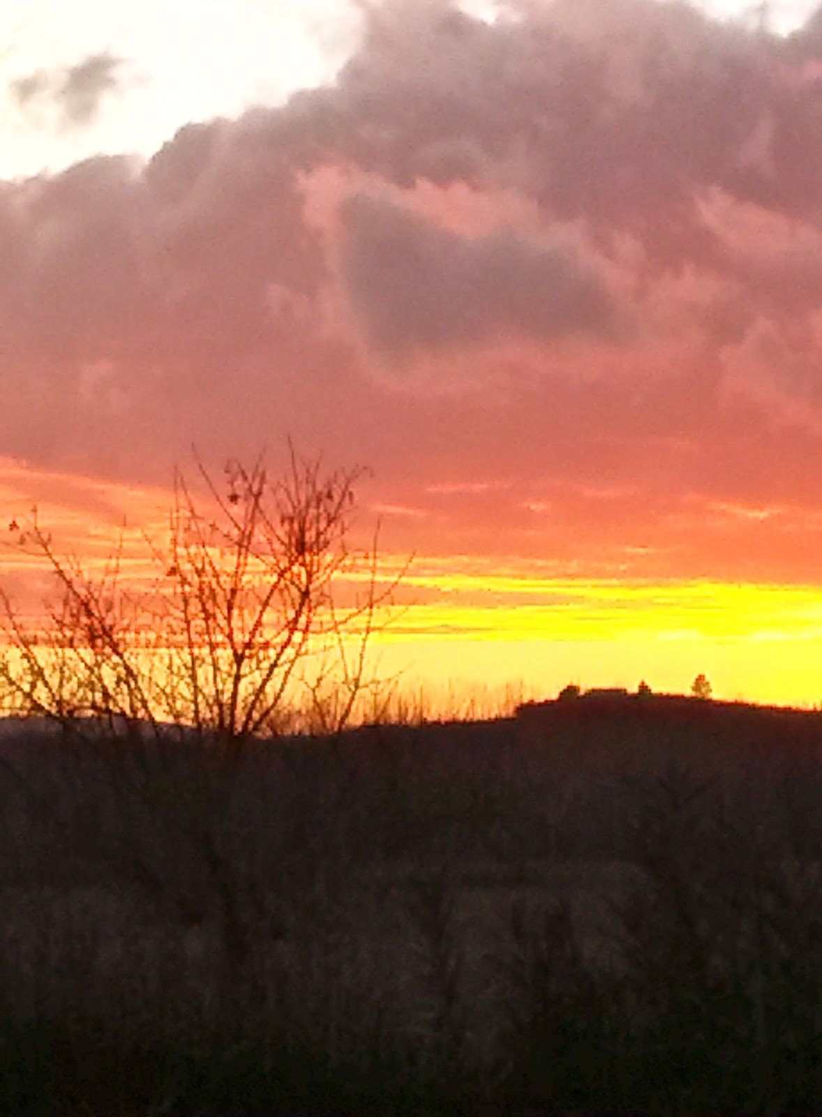 Le Galanti Note Di Tramonti E Di Maestre Che Picchiano
