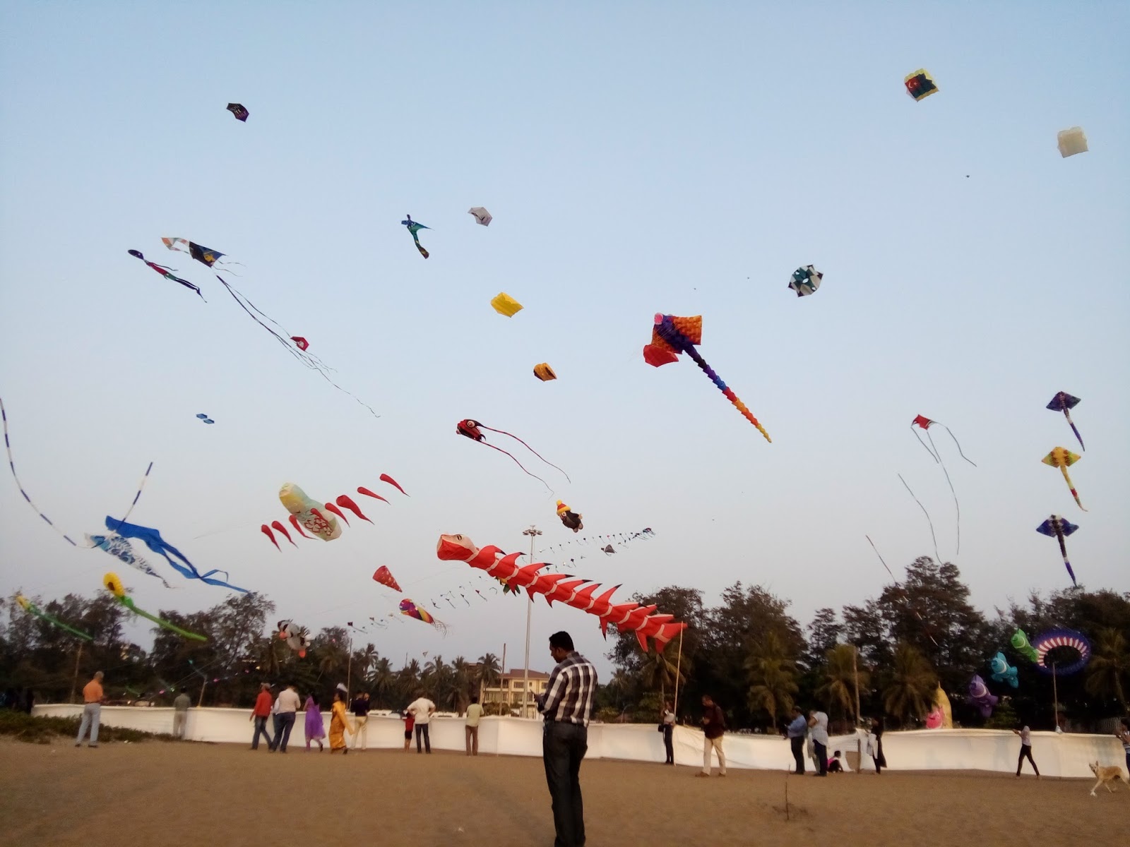 Goa & Belgaum International Kite Festival 217 1622