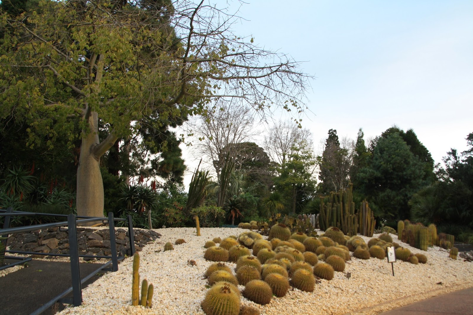 RDO Melbourne Geelong Botanic Gardens