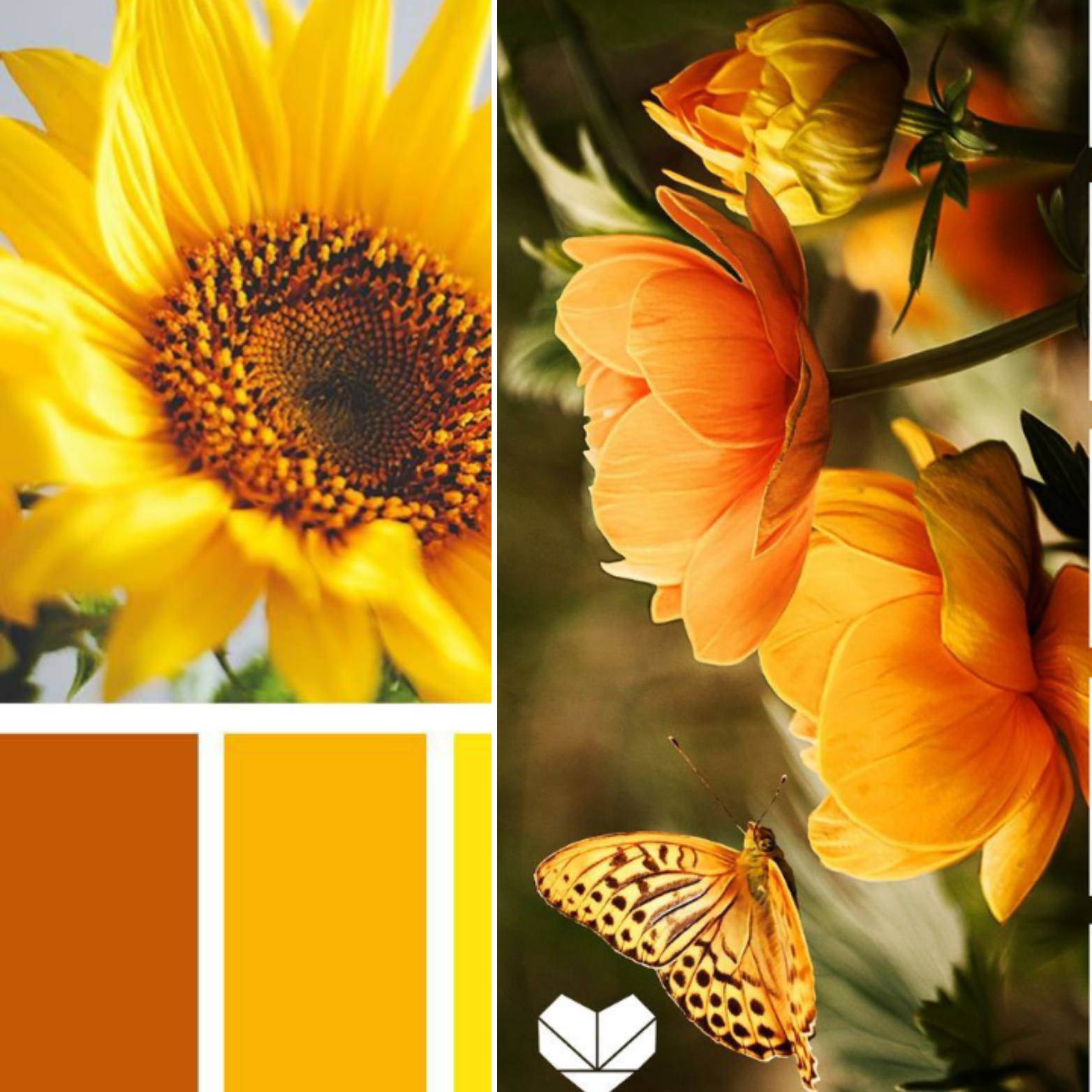 اللون الأصفر في علم النفس والتنسيق المناسب في الملابس والديكور