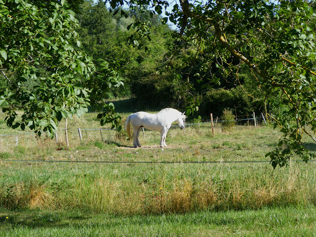 Photographed by Susan Walter. Tour the Loire Valley with a classic car and a private guide.