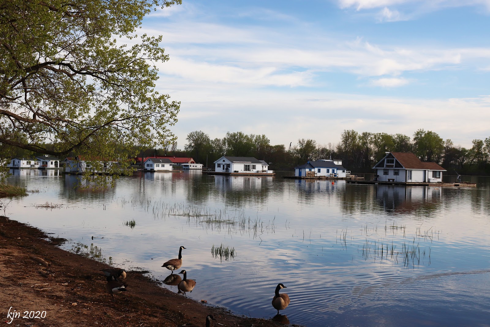 The Outskirts of Suburbia Houseboats on Horseshoe Pond