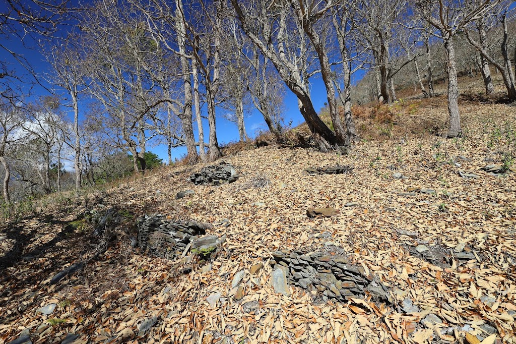 加年端社附近的駁坎遺跡