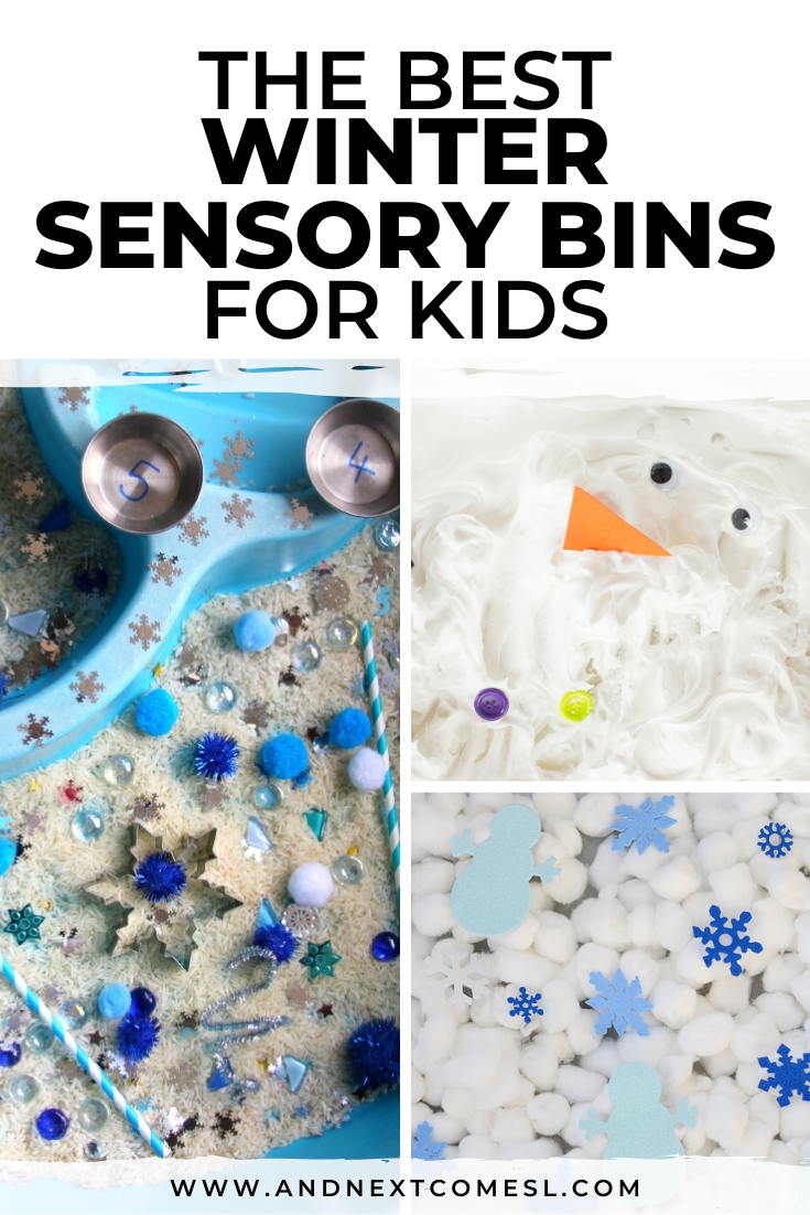 Snow Sensory Bin  Sensory bins, Winter activities for kids, Winter sensory  bin