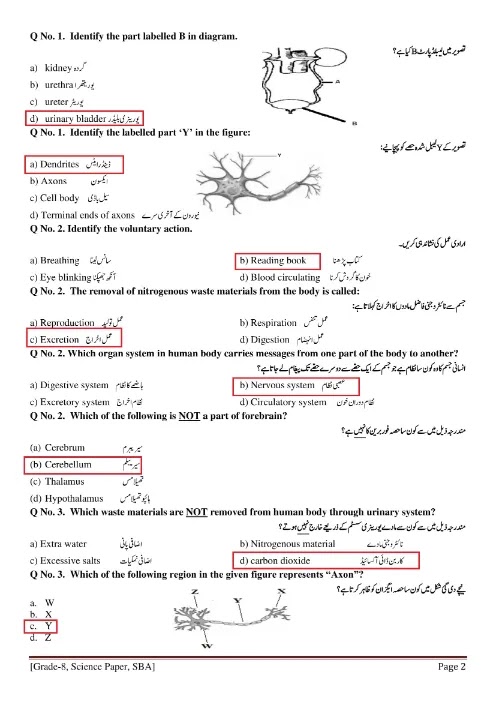 Answers Grade 8 Science assessment School-Based 2021 | 8th class