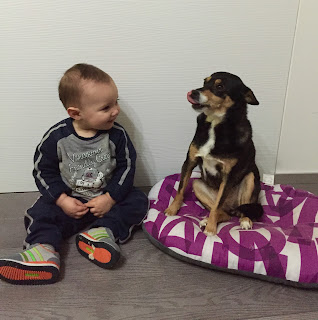 Zelda, la cagnolina mascotte di Sad Dog seduta a terra con un bambino