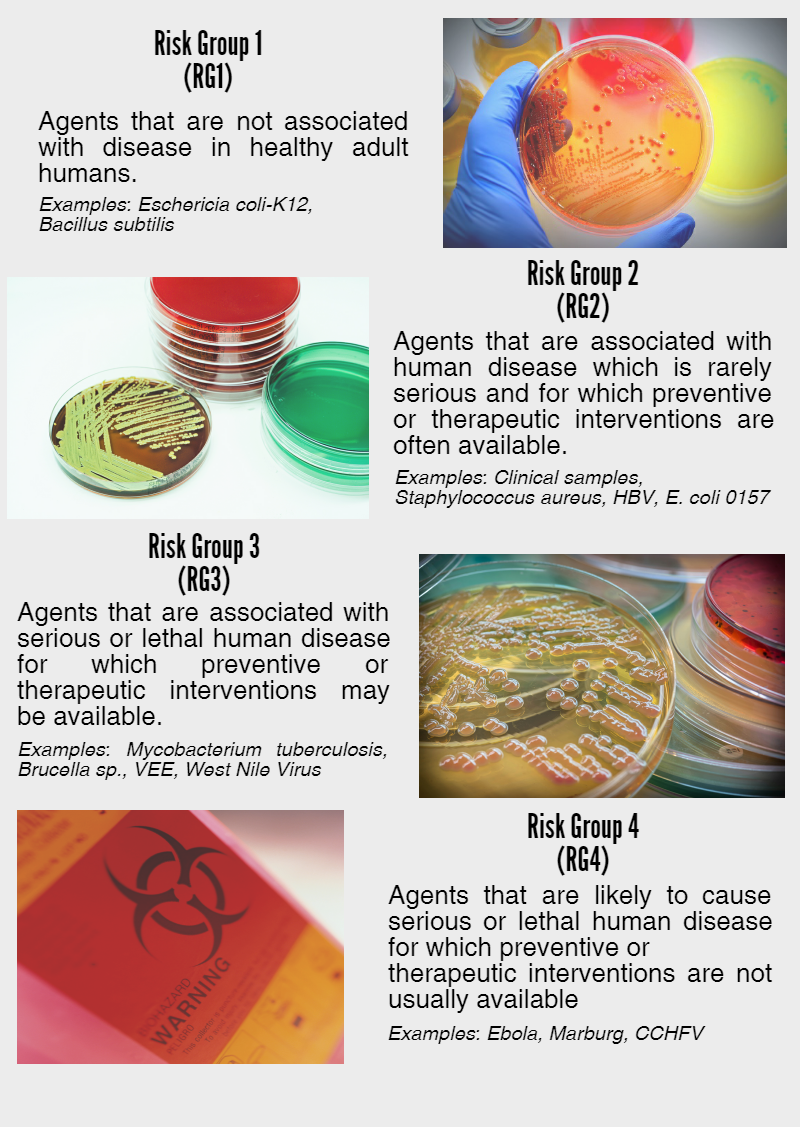 risk groups are assignment of microorganism based on