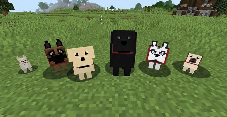 How to tame a dog in Minecraft