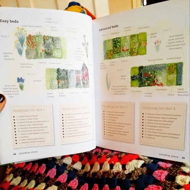 Tulips and Terracotta Cut Flower Patch