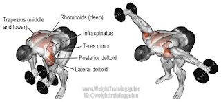 Full-Body-Dumbell-Workout-Plan