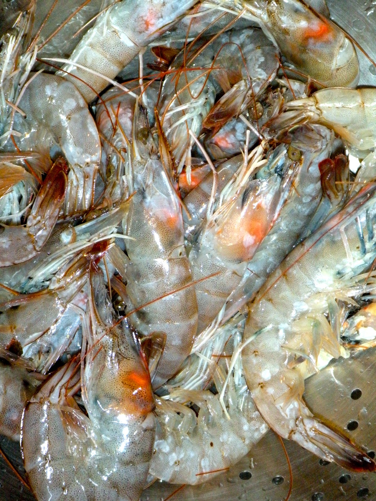 Black Bamboo... Shrimp, Jellyfish, Lotus Root Salad