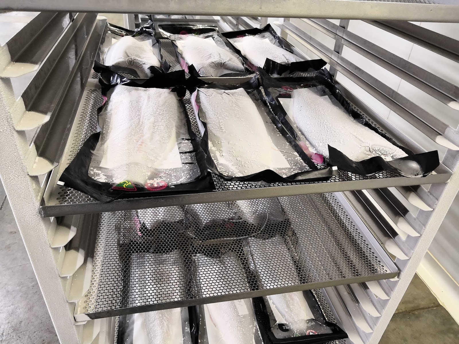 Liquid nitrogen freezer, cryogenic freezer manufacturer from China