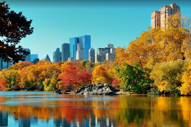 Central Park - New York, Amerika Serikat Central Park - New York, Amerika Serikat