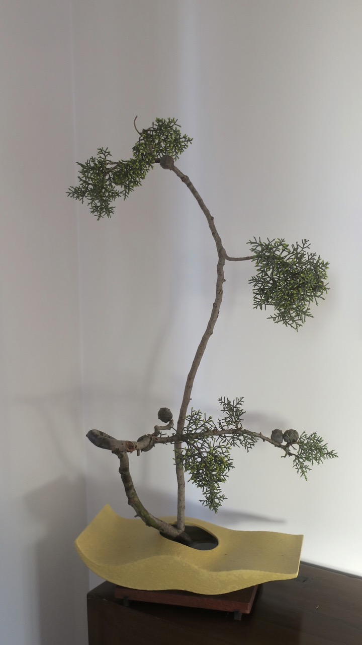 ROADSIDE IKEBANA MORE IKEBANA AT HOME