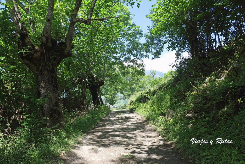 Foces de El Pino, Asturias