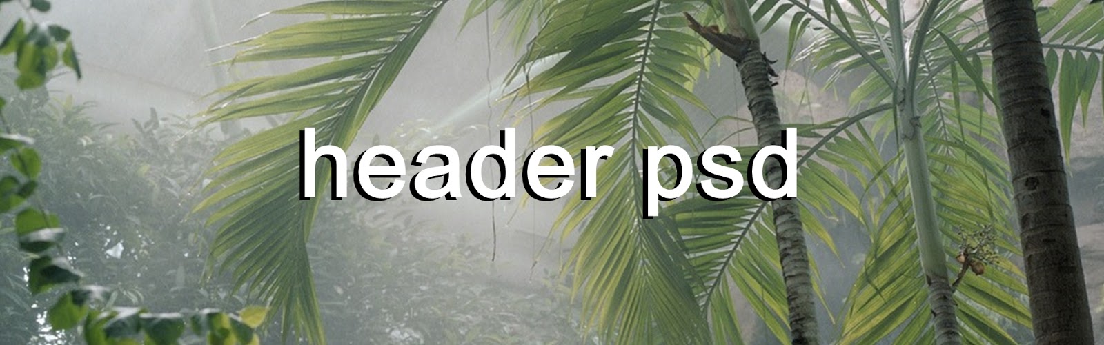 Cómo diseñar un header para tu perfil de Wattpad Extra 1 daydream