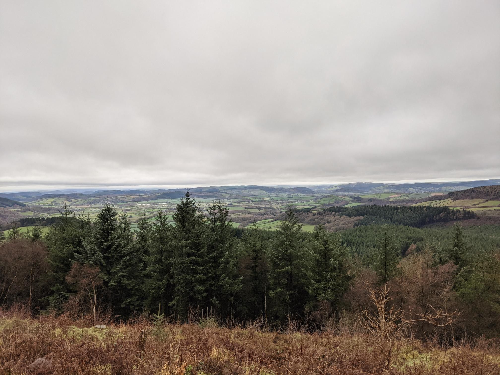 aesthete not athlete Climbing Jack Trail