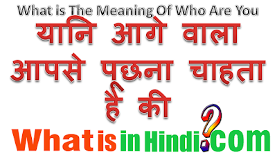 What is the meaning of Who are you in Hindi