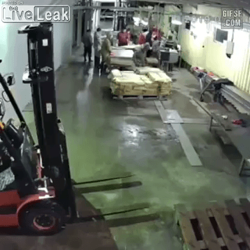 러시아 생선 가공 공장의 일상.gif1