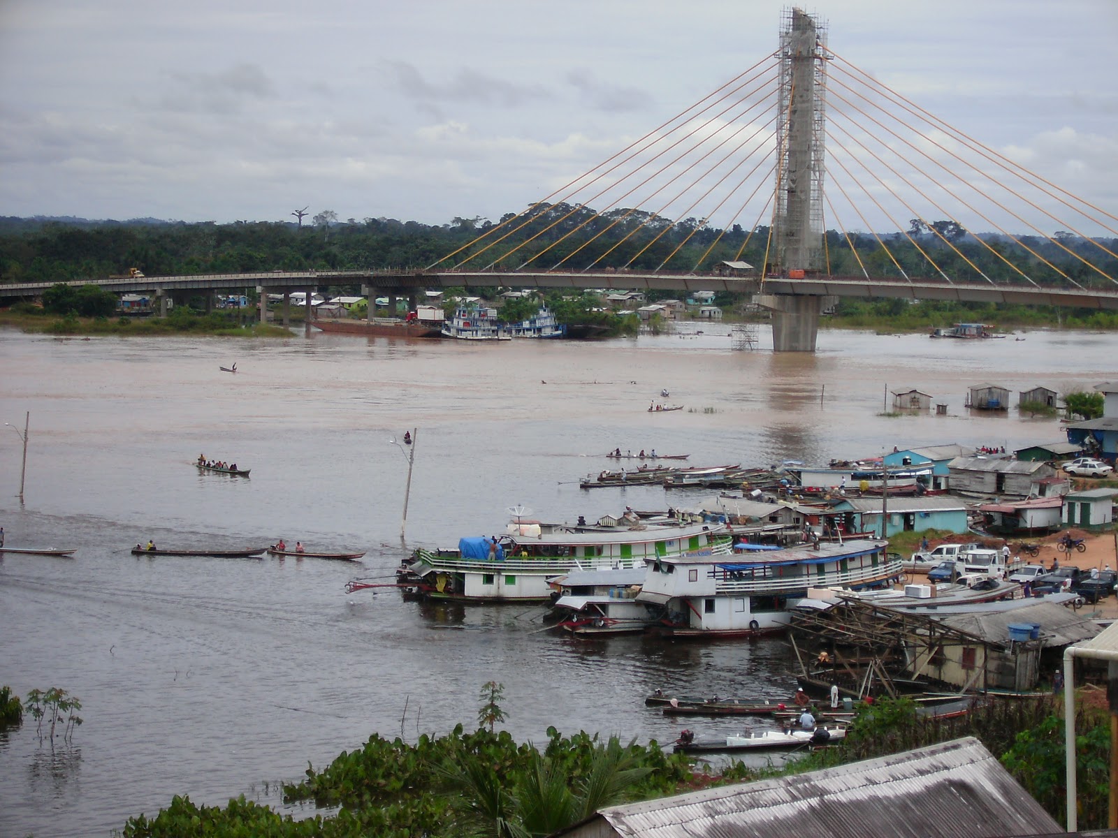 Resultado de imagem para rio juruá cheio