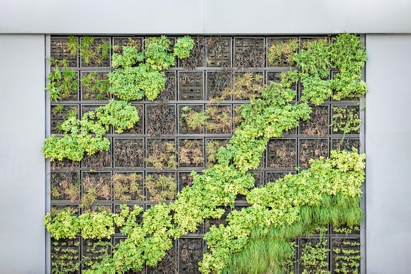 Vertical Garden Ideas