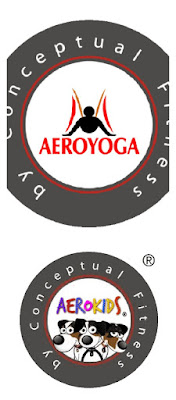 aeroyoga, yoga aéreo, aeropilates, pilates aéreo, aerofitness, fitness aéreo, cursos yoga aéreo, clases yoga aéreo
