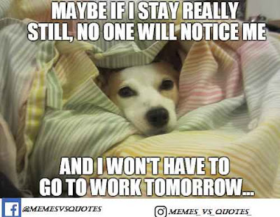 If i stay really still Go to work