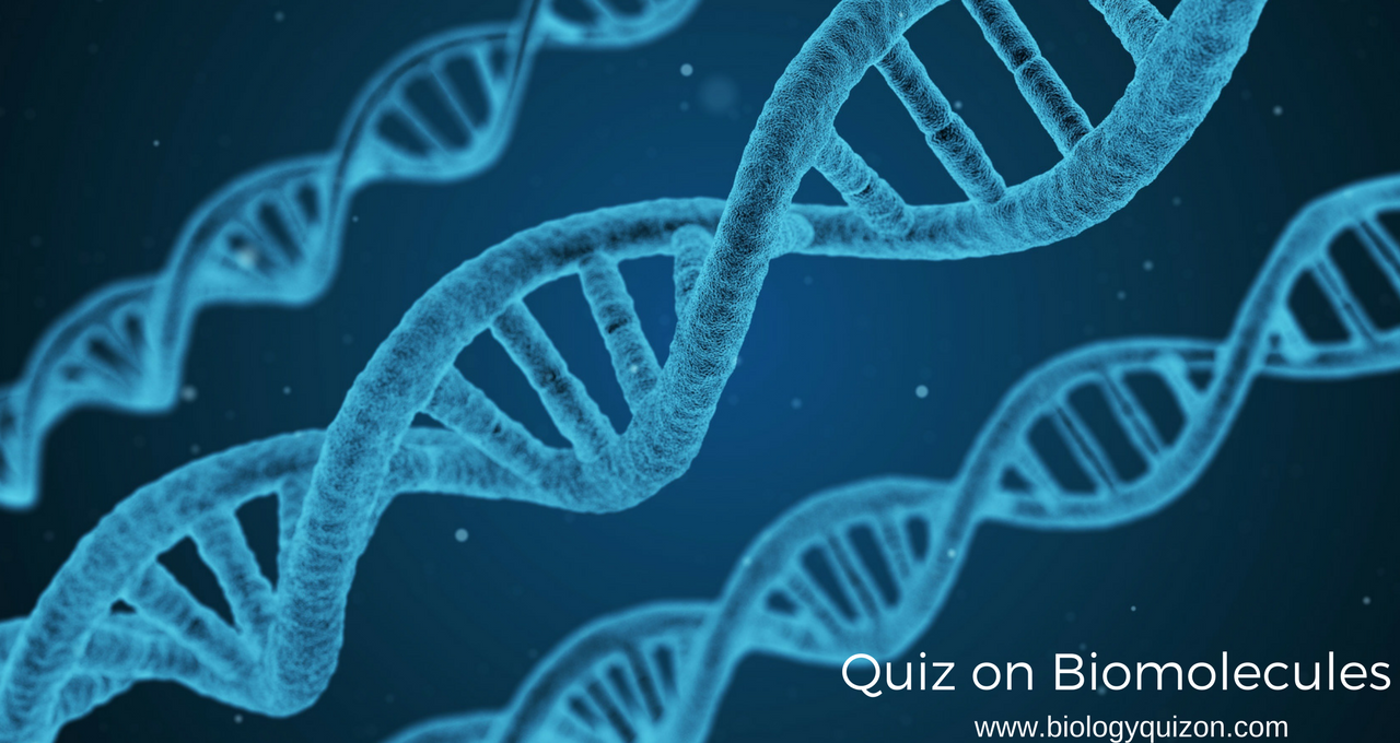 Biology Quiz on Biomolecules Biochemistry Practice Test