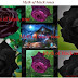 Myth of black roses ( Mitos mawar hitam )