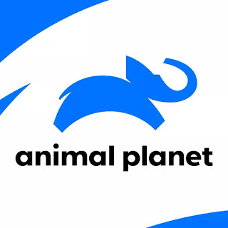 Animal Planet Changed their Logo