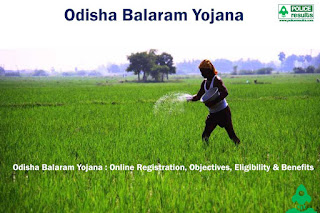 post balaram yojana odisha online apply : Odisha Balaram yojana online apply 2021