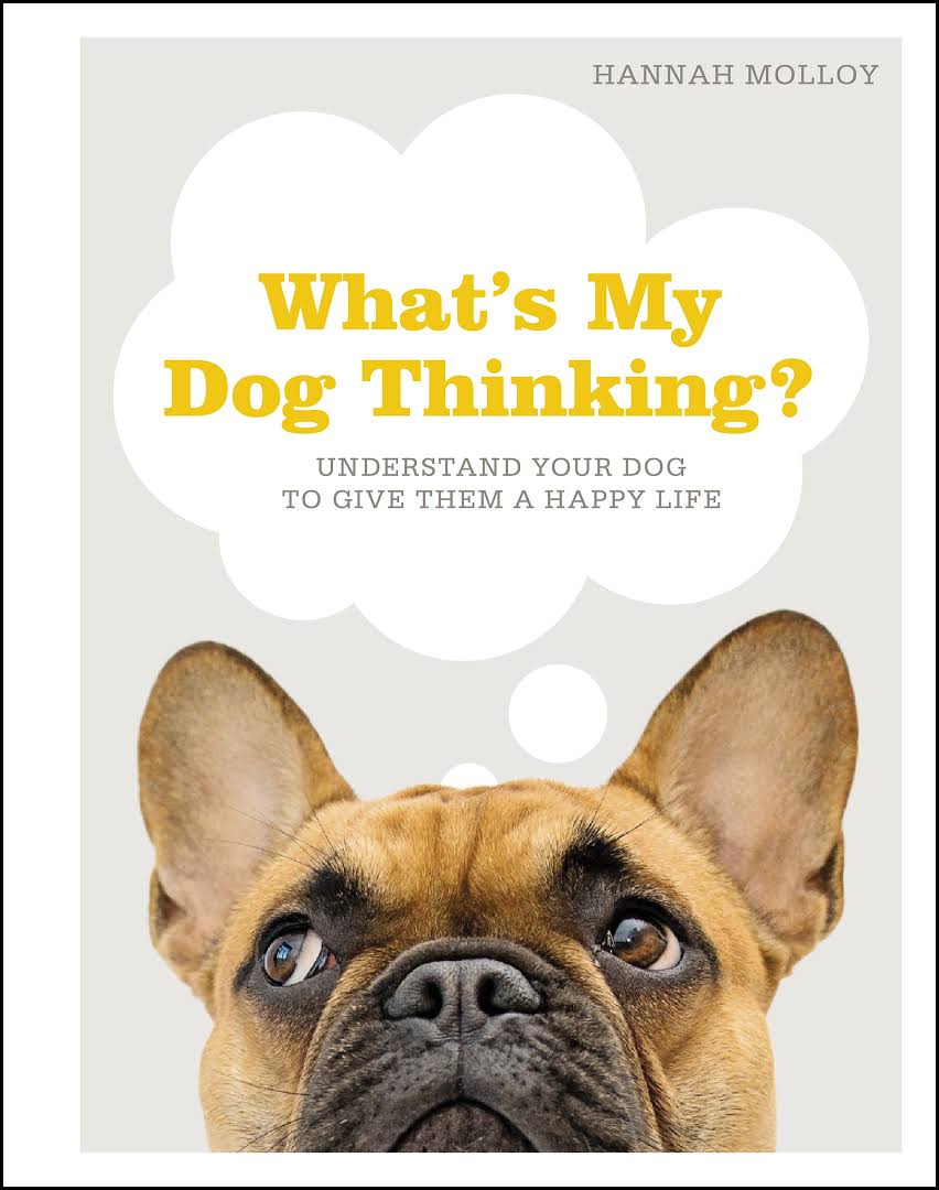 What’s My Dog Thinking? Understand Your Dog to Give Them a Happy Life