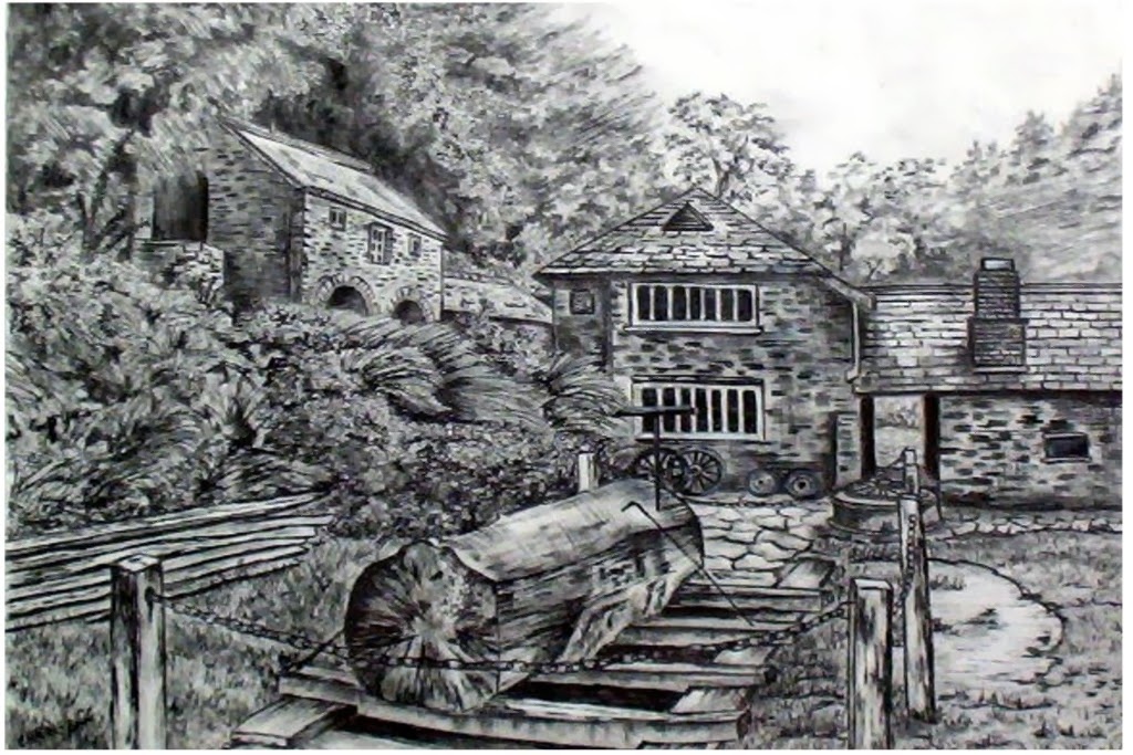 Artinmartin Ink And Pencil Drawings By Carol Ann