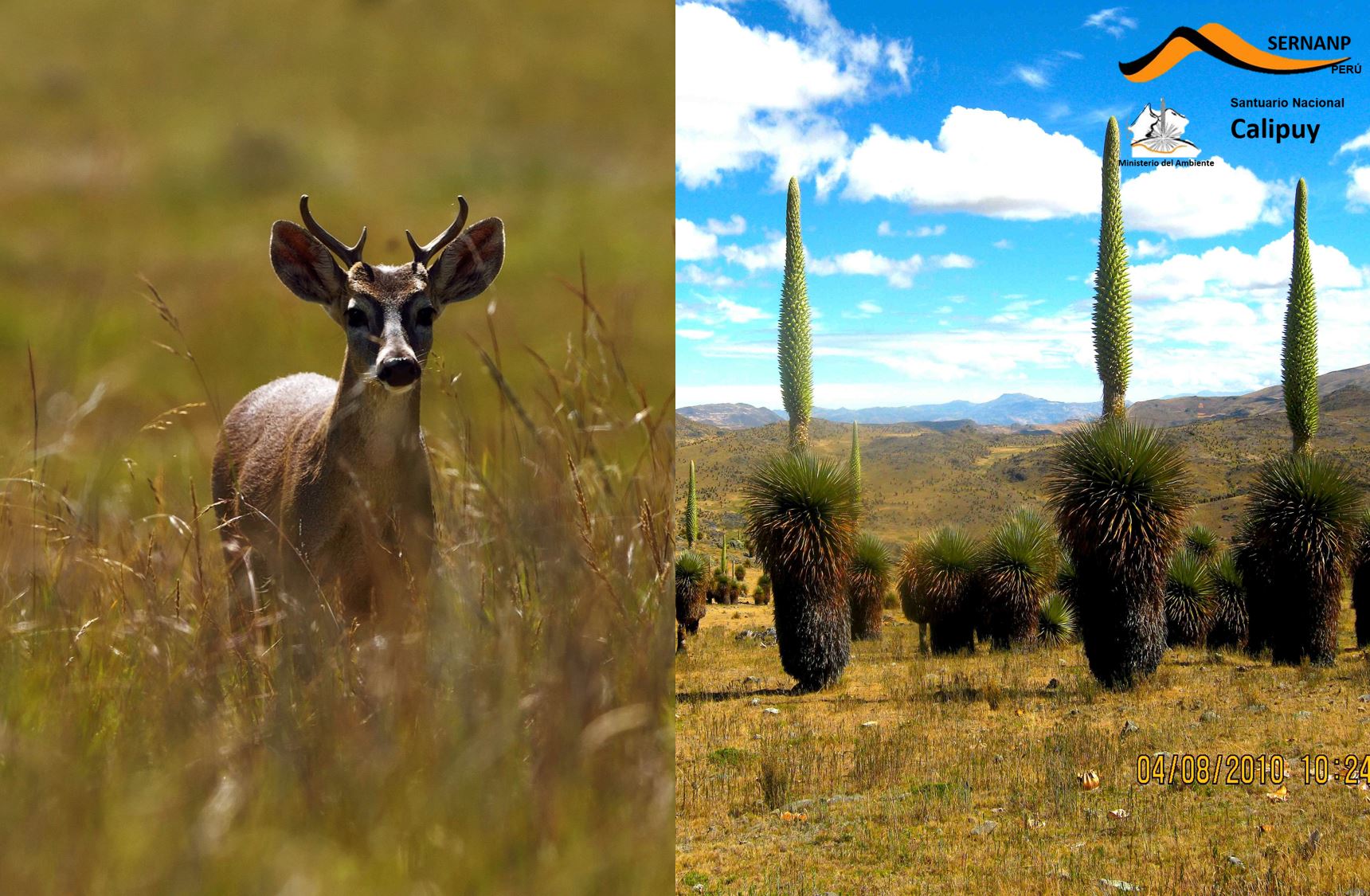 Santuario Nacional de Calipuy