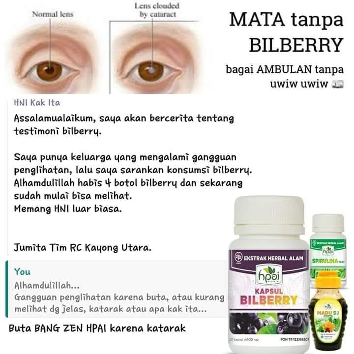 Kapsul Bilberry Hpai Nutrisi Suplemen Mata Minus Lelah Rabun Herbal