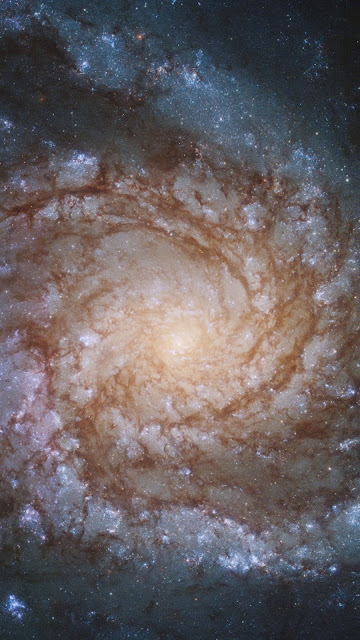 Spiral Galaxy NGC 4254, Stars, Space