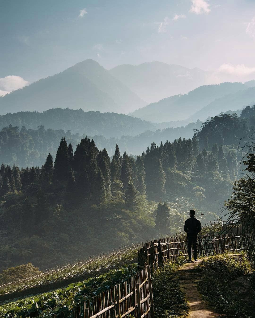 pasir datar sumber dari mediapakuan.pikiran-rakyat.com