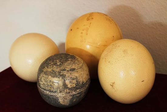 globo terráqueo más antiguo avestruz