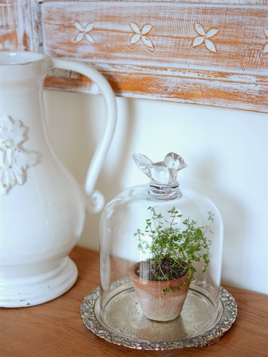 Lee Caroline A World of Inspiration Glass Cloche Styling Ideas