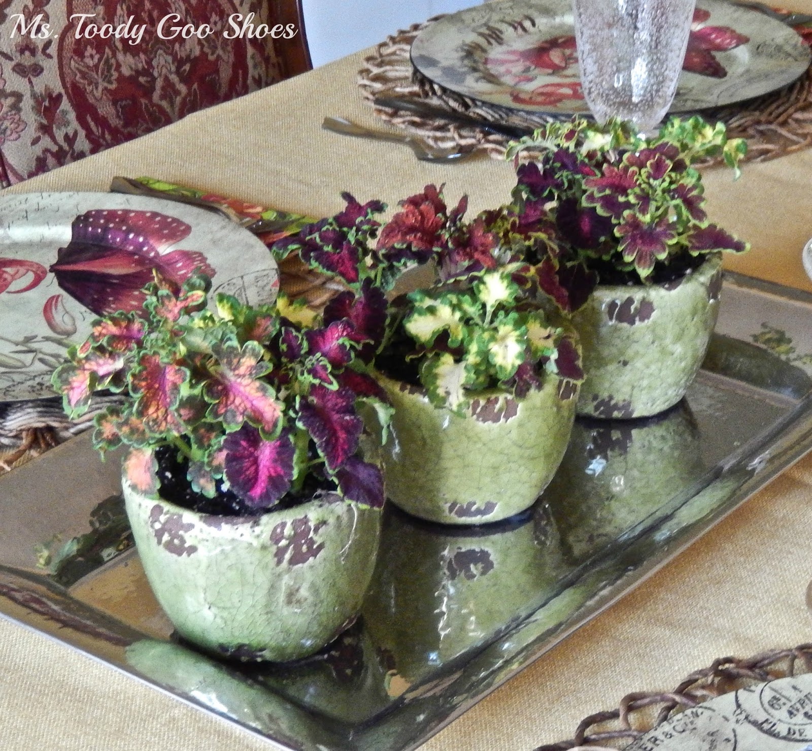 Cheap and Cheerful Flower Pot Centerpiece --- Ms. Toody Goo Shoes