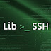 Libssh Releases Update to Patch 9 New Security Vulnerabilities