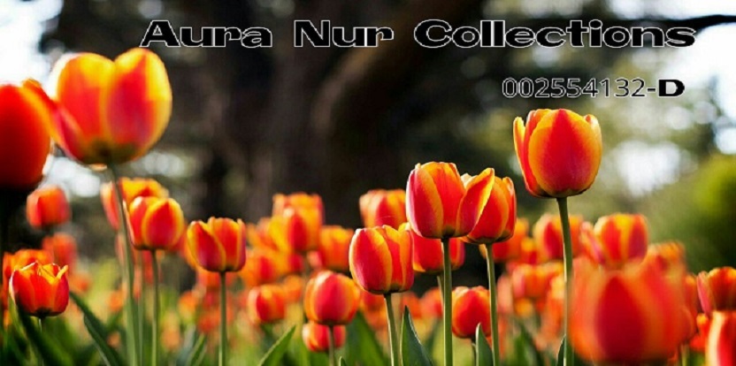             Aura Nur Collections
