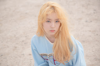 TEAM RED VELVET: [1ST MINI ALBUM] Red Velvet - Ice Cream Cake