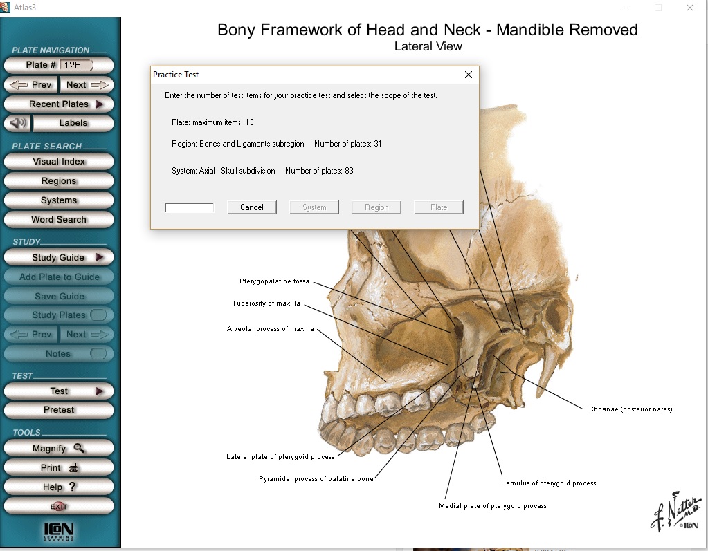 netter atlas of human anatomy 6th edition free download