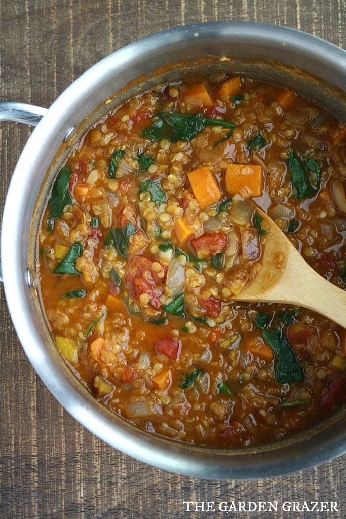 The Garden Grazer Red Lentil Stew