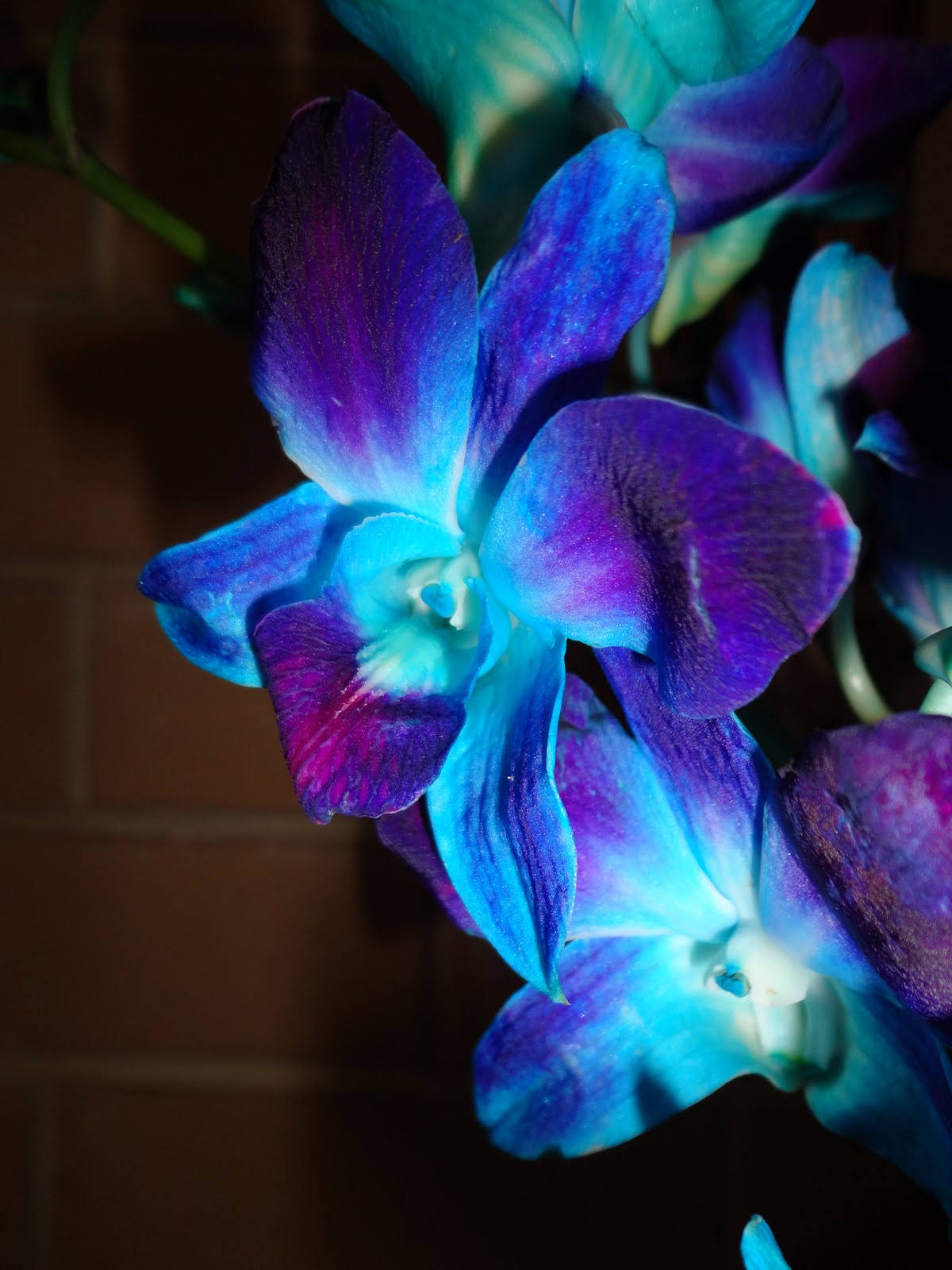 Look at what I bought in Coles