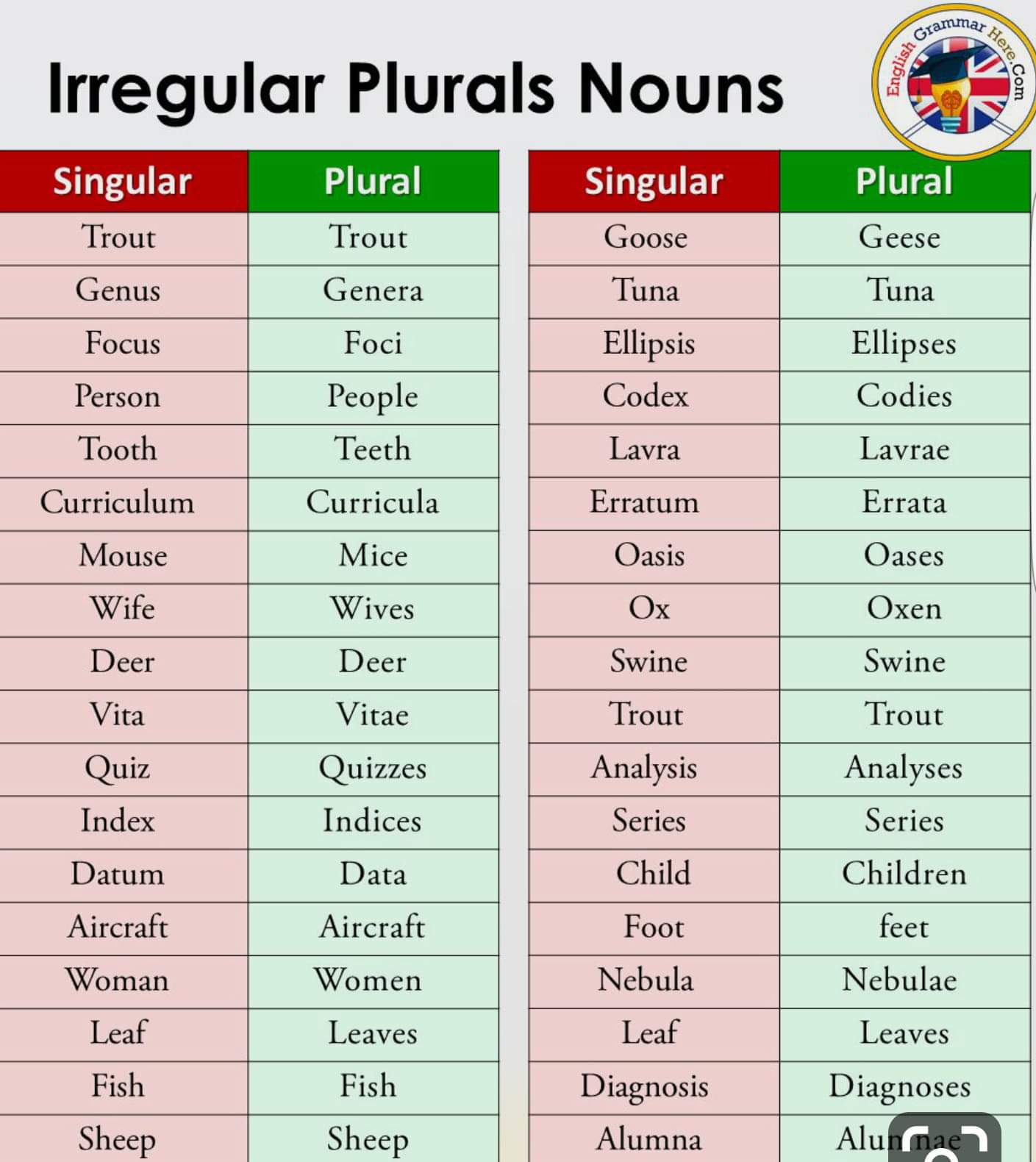 Plural nouns words. Что такое singular и plural а английском языке. Irregular plurals in English. Irregular plurals в английском языке. Irregular plurals таблица.